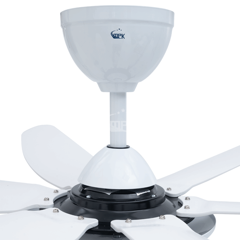 gallery large item 1039