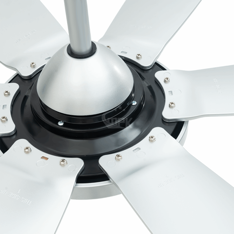 gallery large item 1096